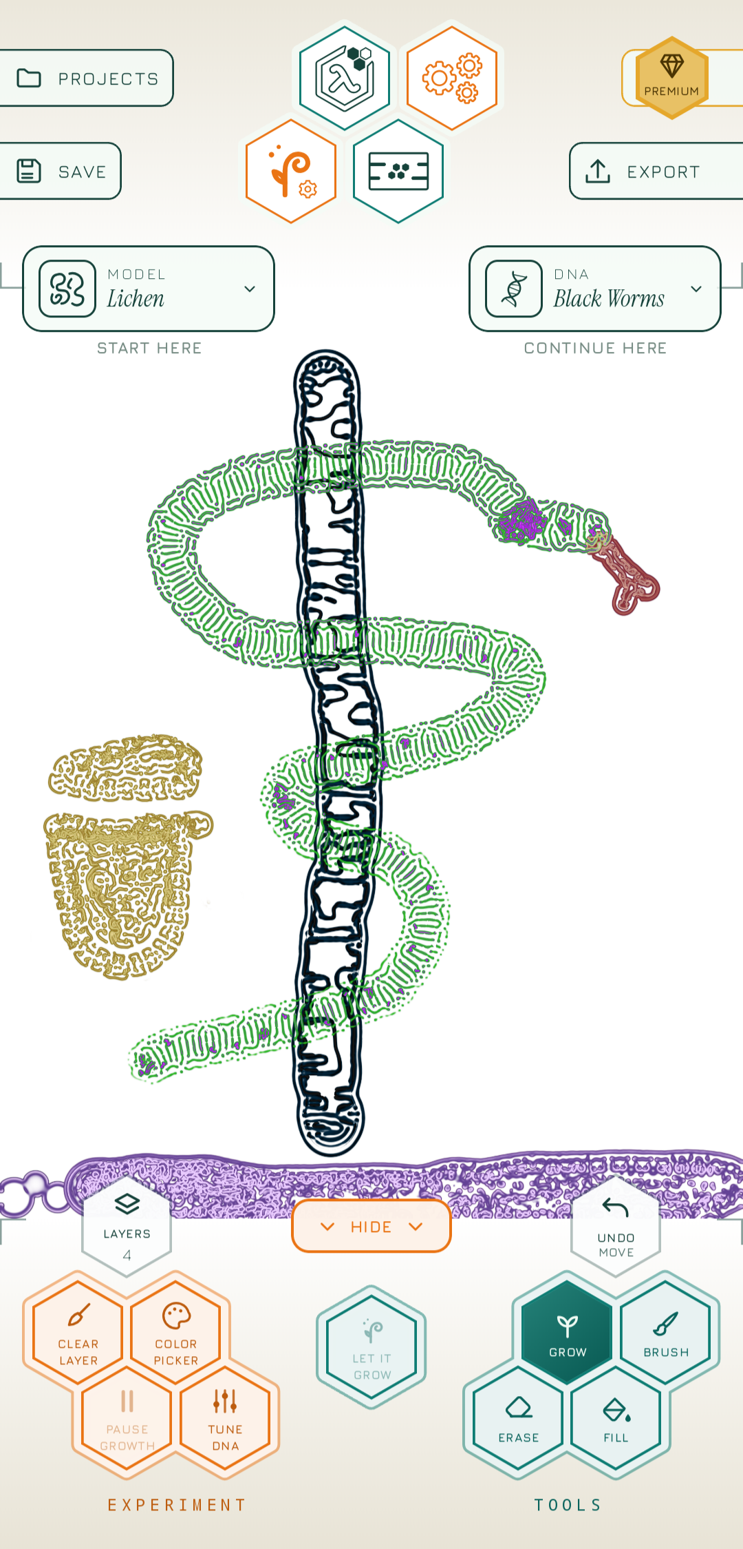 PyxiGrow editor showing a multicolored Lichen drawing with multiple presets